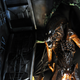 Illustration for article titled iFargo/is Noah Hawley is making an iAlien /ishow for FX